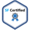 Salesforce Certification Dumps