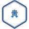 Salesforce Certification Dumps